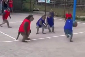 起猛了，竟然看到一群猴哥打篮球！现在AI这么逼真了嘛
